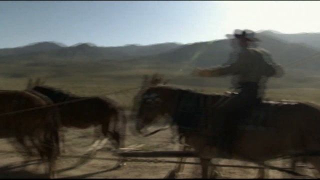 Death Valley 20 Mule Team смотреть онлайн