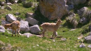 Ты - моя надежда. Минус. Родник хвалы и вдохновенья.