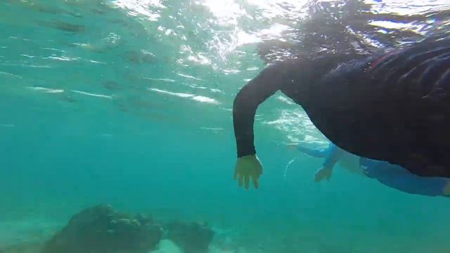 Родитель, ничего не бойся! Прямое включение с Маврикия 3 октября 2015 смотреть онлайн