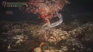 Let Me Solo Her Build - Malenia Hitless | ELDEN RING