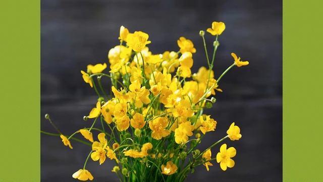 Цветущие травы. 04 - Лютики смотреть онлайн