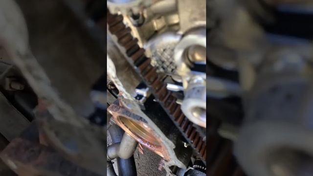 Ford transit 2.0 wet belt breaking of after 116k