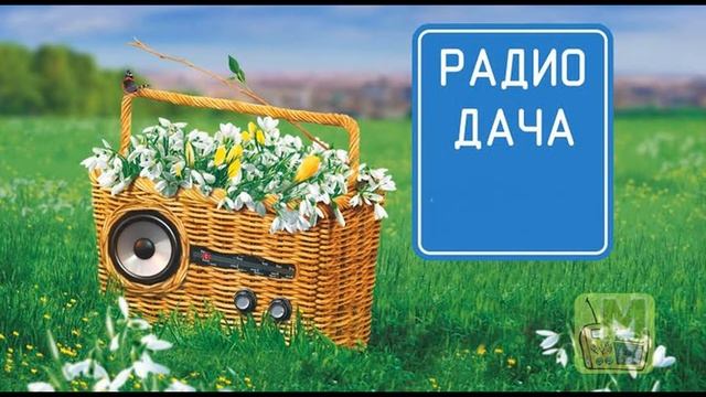 РАДИО ДАЧА. Спасибо, за поздравления)) смотреть онлайн