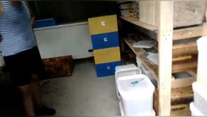 Сколько можно заработать на Пчёлах.Выгодно или Нет?