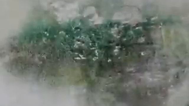 Shinkarchuk ~ Joe Хисаиси ~ GRAPHIC ARTS ~ From which so wants to live смотреть онлайн