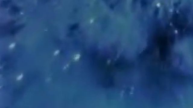 Волновая генетика   академик Гаряев 1