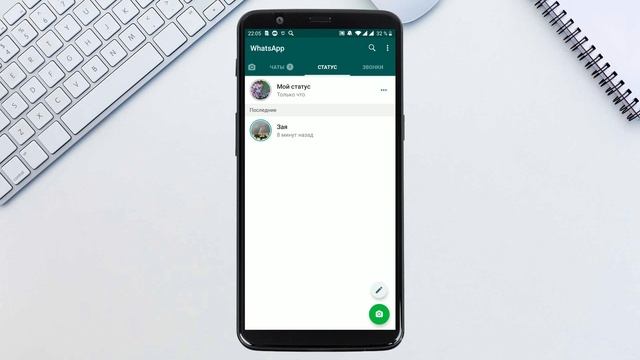 Всё о СТАТУСЕ в WhatsApp | Как создать, переслать и удалить статус | Как отвечать на статусы друзей