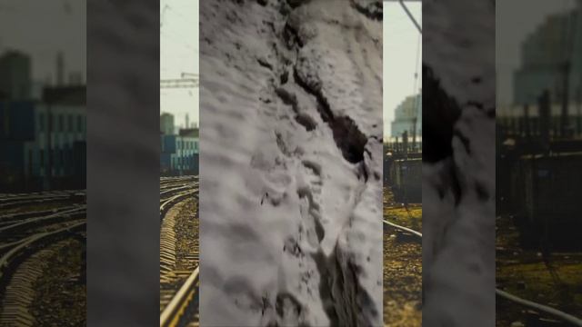 Воронеж: по таким тротуарам приходится ходить из Берёзовой Рощи в сторону Центрального парка. ?