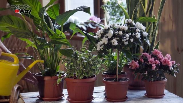 1 Капля И Черенки Все В Корнях! Мощное Средство Для Образования Корней! Стимулятор Роста Растений