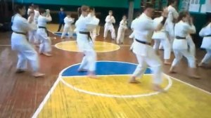 Ката Сэйюнчин - стиль Годзю рю Сёдокан Сеюнчин (Seiyunchin)