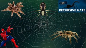 Recursive Hate - Spider Hell - Паук не пройдёт.