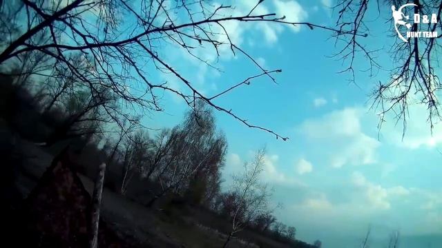 Охота на серую ворону с чучелами и филином 2018.Полювання на сіру ворону.Crow hunting in Ukraine.