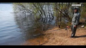 Пошла ЖАРА - чехонь на фидер! | Ловля чехони на фидер