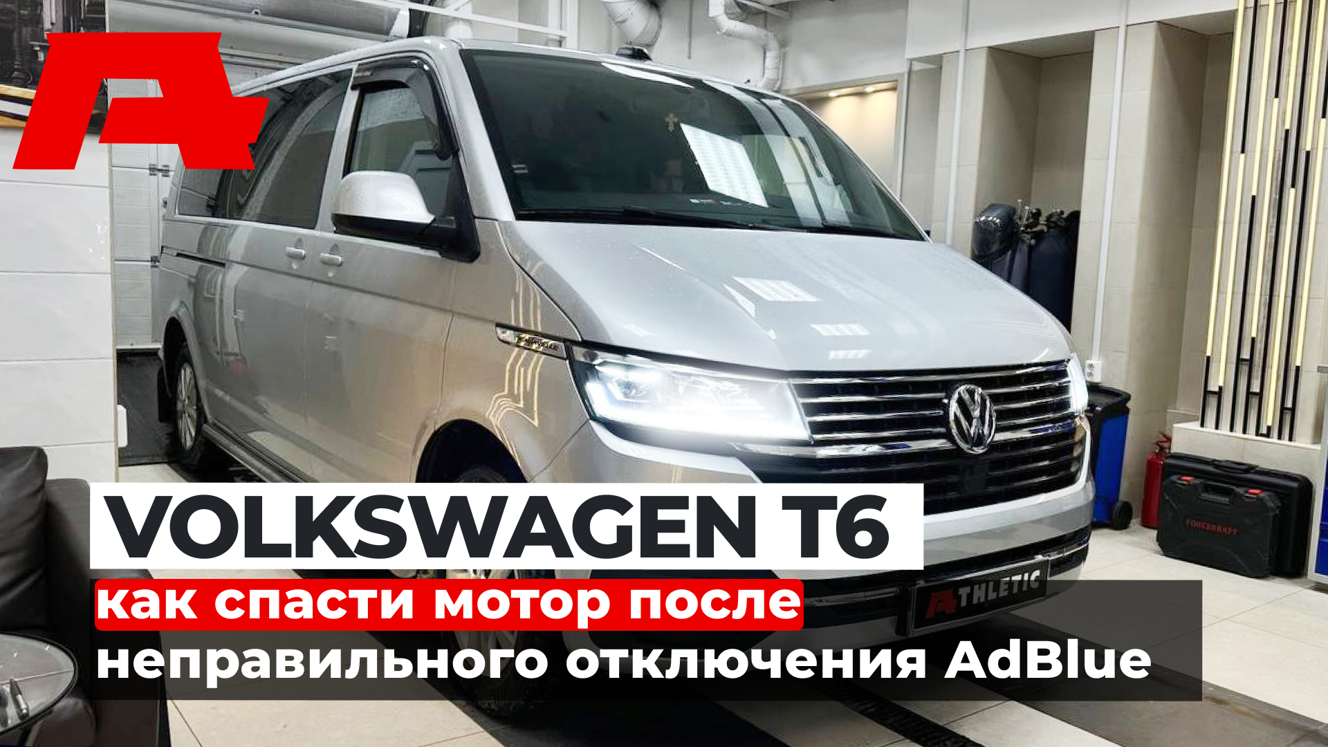 Качественное увеличение мощности и отключение AdBlue на Volkswagen T6 Multivan!