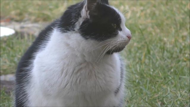 GARDEN - Wiosna w ogrodzie - 15 luty 2019 смотреть онлайн