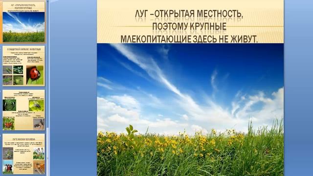 Школьные презентации по окружающему миру 4 класс. Планета знаний.  School presentations
