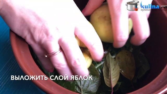 Моченые яблоки (антоновка) смотреть онлайн