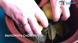Моченые яблоки (антоновка)