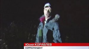 В Ярославской области начался отстрел кабанов