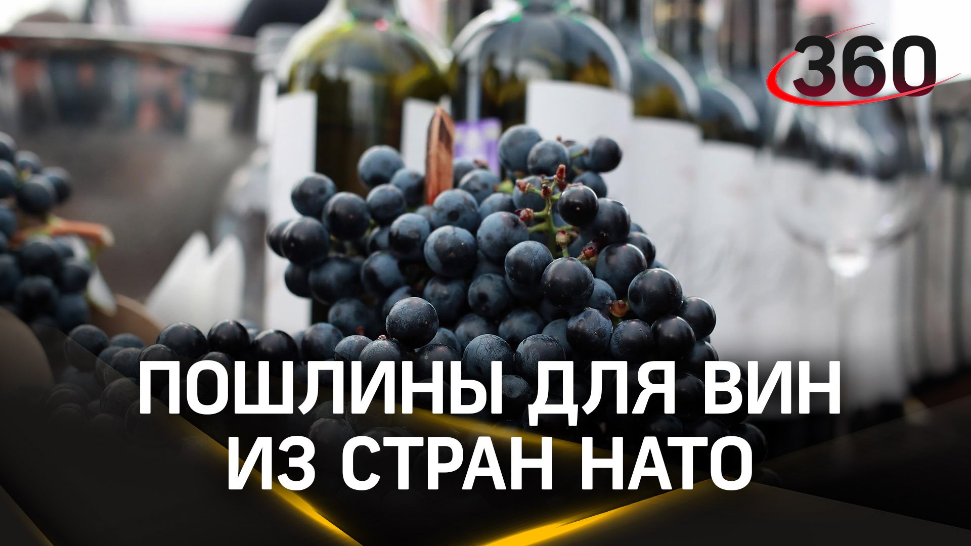 Российские виноделы выступили с предложениями. Хотят увеличить пошлины для продукции из НАТО до 200%