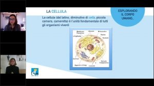 Vita da ricercatrice, webinar con Laura Ottini, ricercatrice AIRC