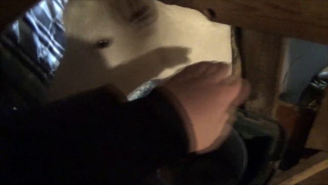 ИНКУБАЦИЯ ПЕРЕПЕЛОВ ,ПОКУПКА ЯЙЦА ,НОВОСТИ С КУРЯТНИКА смотреть онлайн