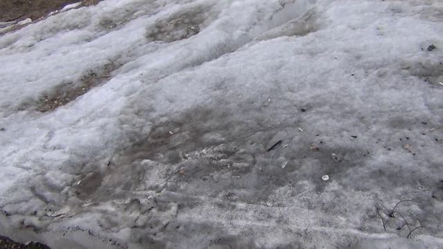 налим и места его поимки лесосибирск