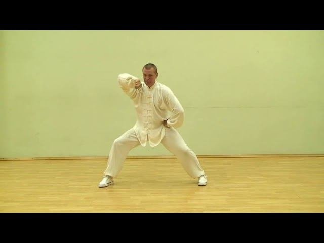 Taiji Chen Romanov R   ч 2- Комментарии к движениям первого комплекса