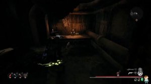 Remnant: From the Ashes. Амулет Лето.