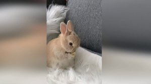 Подборка смешных видео и приколов. 182 Лучшие ПРИКОЛЫ 2023