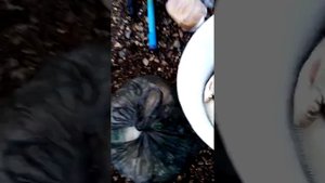 Рыбалка на реке Лобва