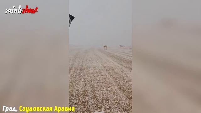 Землетрясение в Польше, Новости Сегодня, в Турции Сегодня, Торнадо 18 Апреля! Ка