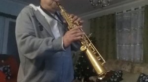 A Time for Us (Romeo and Juliet) recorded Nov 2018 when I started playing again. Soprano sax cover.