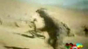 АФГАНСКИЙ СИНДРОМ