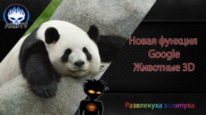 NEW. Новая фишка в Gooogle. Животные 3D.