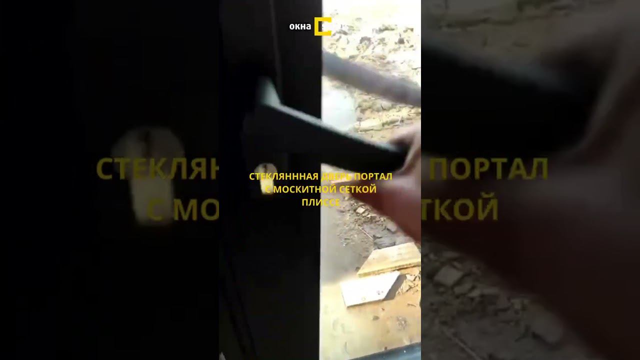 Стеклянная раздвижная дверь-портал с москитной сеткой плиссе.