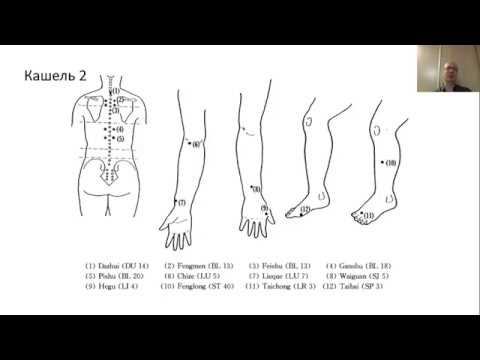 Гоголь И.А. Клиническая акупунктура при заболеваниях внутренних органов: бронхиальная астма, ОРЗ. смотреть онлайн