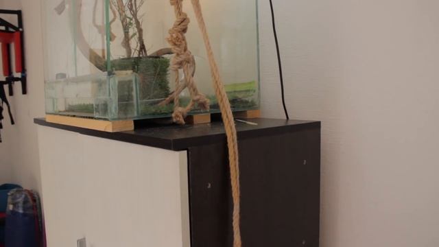 Безжалостный домашний убийца Хамелеон часть 1 смотреть онлайн