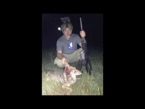 Тепловизор в действии ATN MARS-HD 640 5x смотреть онлайн