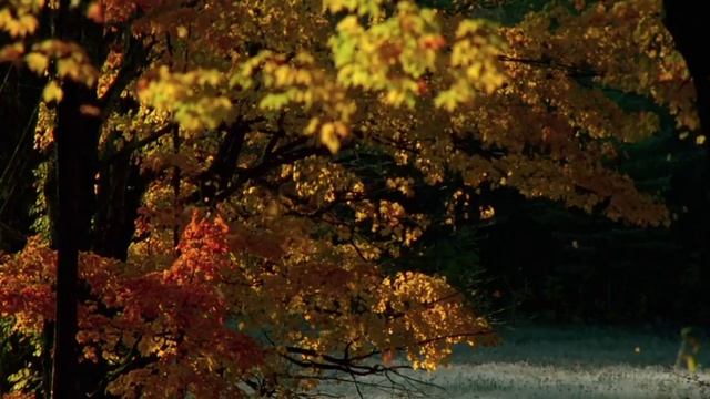 В современном мире технологий. смотреть онлайн