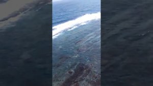 Отдых Владивосток красивые места стоит побывать