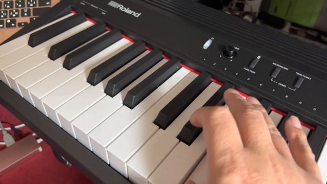 ピーコの日常番外編〜ローランドGO Piano 88〜 смотреть онлайн