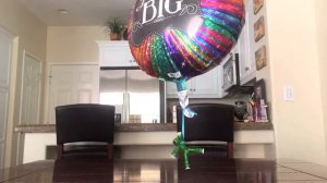 Как развлекаются Stikbot, когда вас дома нет.