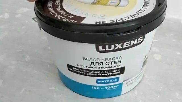 Краска для стен дисперсионная моющаяся матовая без запаха для покраски комнат в квартире – снято на