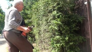 Кусторез для елок (добавление)