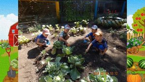 Есть у нас огород. Средняя группа № 10.