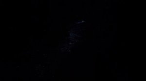 Светящийся планктон , Мальдивы