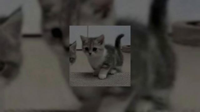 Gitarakuru – Internet l0ve (speed up) смотреть онлайн