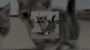 Gitarakuru – Internet l0ve (speed up)