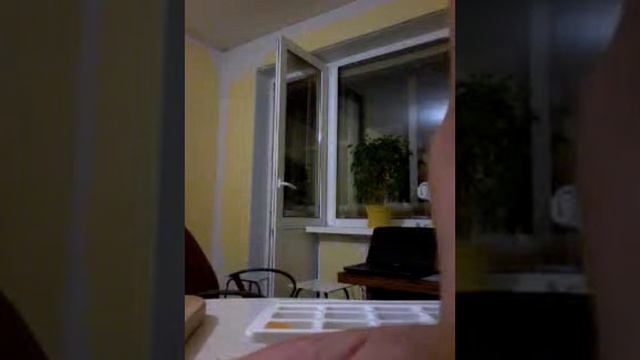 Готовим домашний фруктовый лёд